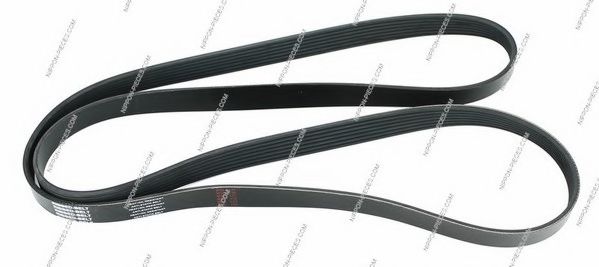 CONTINENTAL CTAM V-Ribbed Belts 11613301 - CONTINENTAL CTAM
