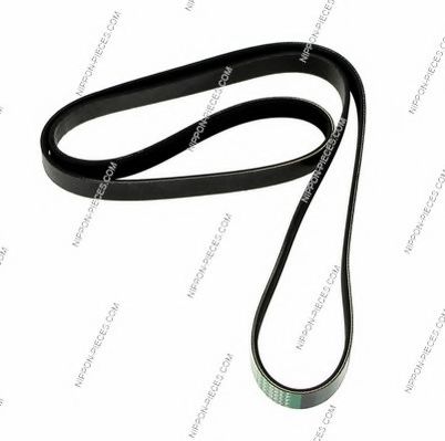 CONTINENTAL CTAM V-Ribbed Belts 4441531 - CONTINENTAL CTAM