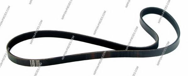 CONTINENTAL CTAM V-Ribbed Belts 4443474 - CONTINENTAL CTAM
