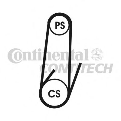 CONTINENTAL CTAM V-Ribbed Belts 4440076 - CONTINENTAL CTAM