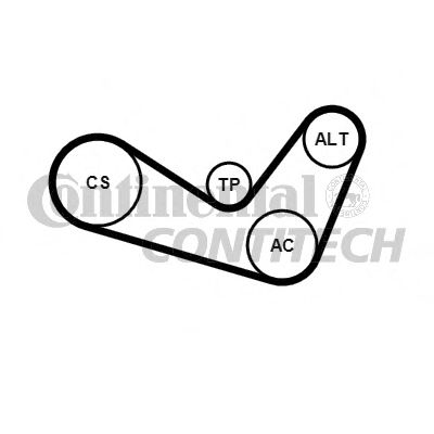 CONTINENTAL CTAM V-Ribbed Belt Set 10837021 - CONTINENTAL CTAM