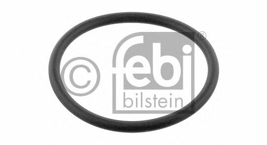 FEBI BILSTEIN Seal, thermostat 3213887 - FEBI BILSTEIN