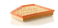 MANN-FILTER Air Filter 10655764 - MANN-FILTER