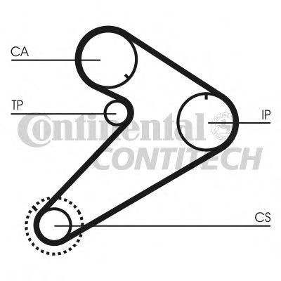 CONTINENTAL CTAM Timing Belt 3519385 - CONTINENTAL CTAM