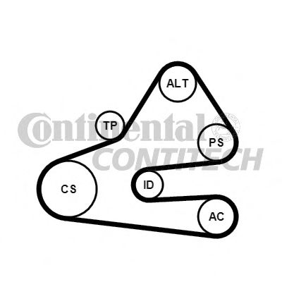 CONTINENTAL CTAM V-Ribbed Belt Set 10837073 - CONTINENTAL CTAM