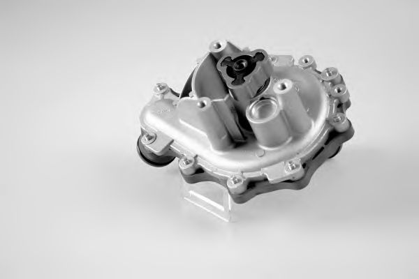HEPU Water Pump 10220863 - HEPU
