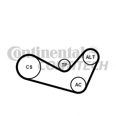 CONTINENTAL CTAM V-Ribbed Belt Set 10837029 - CONTINENTAL CTAM