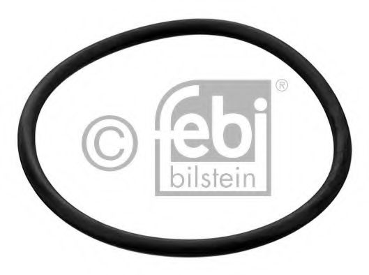 FEBI BILSTEIN Seal, thermostat 11572238 - FEBI BILSTEIN