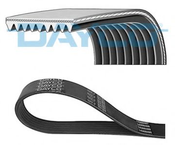 DAYCO V-Ribbed Belts 12218403 - DAYCO