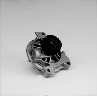 HEPU Water Pump 10220389 - HEPU