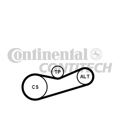 CONTINENTAL CTAM V-Ribbed Belt Set 10837041 - CONTINENTAL CTAM