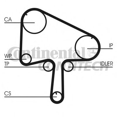 CONTINENTAL CTAM Timing Belt 11655813 - CONTINENTAL CTAM