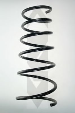 SPIDAN Coil Spring 10277211 - SPIDAN