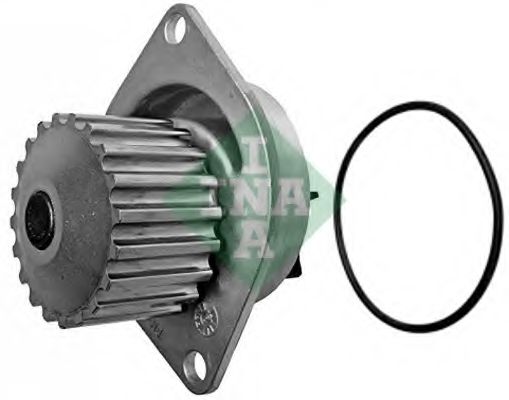 INA Water Pump 10872094 - INA