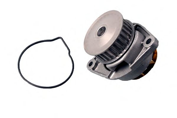 HEPU Water Pump 10220394 - HEPU