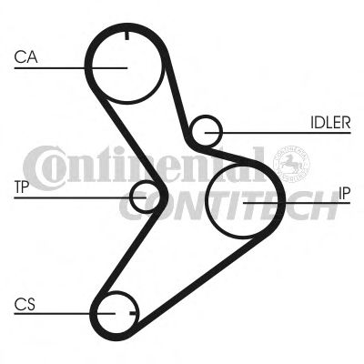 CONTINENTAL CTAM Timing Belt 3005772 - CONTINENTAL CTAM