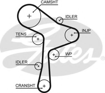 GATES Timing Belt 11721134 - GATES