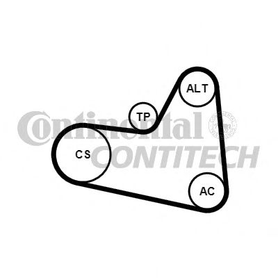 CONTINENTAL CTAM V-Ribbed Belt Set 10837147 - CONTINENTAL CTAM