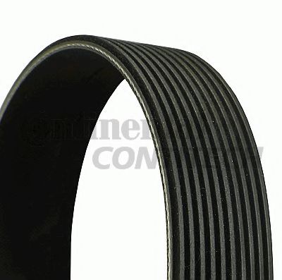CONTINENTAL CTAM V-Ribbed Belts 10836646 - CONTINENTAL CTAM
