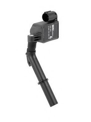 BorgWarner (BERU) Ignition Coil 10887584 - BorgWarner (BERU)