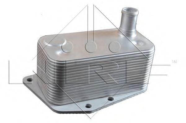 NRF Oil Cooler, engine oil 11540970 - NRF
