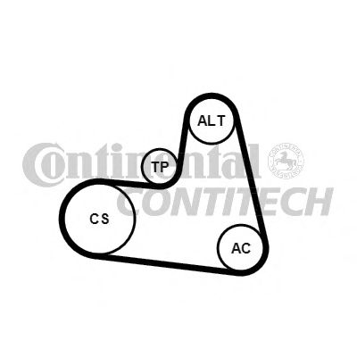 CONTINENTAL CTAM V-Ribbed Belt Set 10837045 - CONTINENTAL CTAM