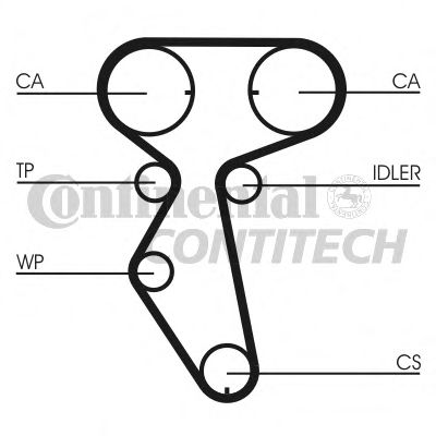 CONTINENTAL CTAM Water Pump & Timing Belt Set 3623101 - CONTINENTAL CTAM