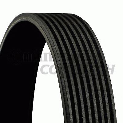 CONTINENTAL CTAM V-Ribbed Belts 10837230 - CONTINENTAL CTAM