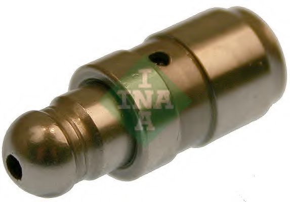 INA Tappet 10869924 - INA