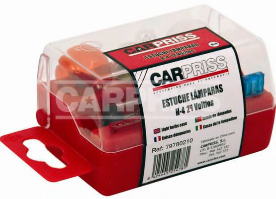 CARPRISS Bulbs Assortment 10675280 - CARPRISS