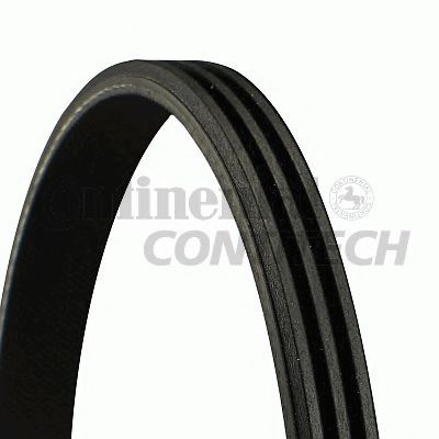CONTINENTAL CTAM V-Ribbed Belts 4442547 - CONTINENTAL CTAM