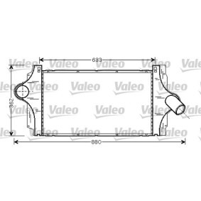 VALEO Oil Filter 12178250 - VALEO