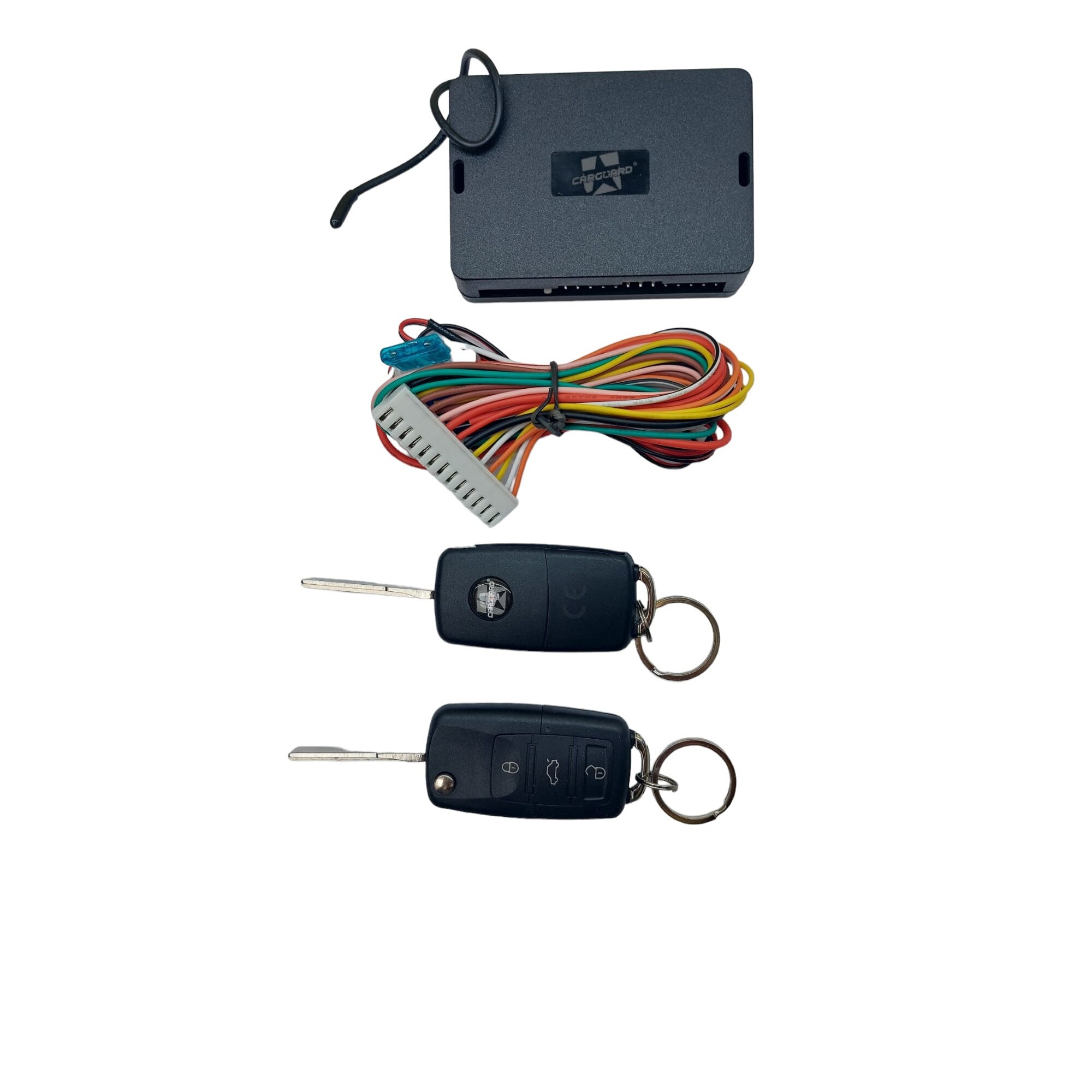 CARGUARD Deep Cycle Battery 12204995 - CARGUARD