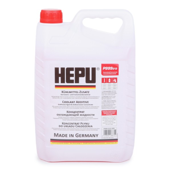 HEPU Water Pump 10220165 - HEPU
