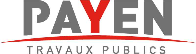 PAYEN Seal Ring, oil drain plug 12347639 - PAYEN