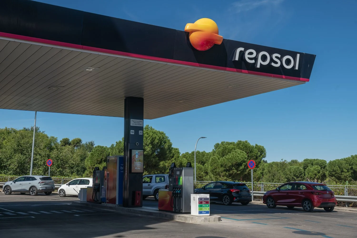 REPSOL Tools 12210085 - REPSOL