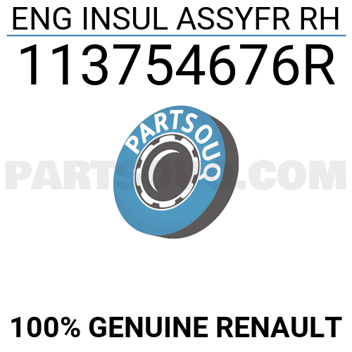 RENAULT OE OE item 12176576 - RENAULT OE