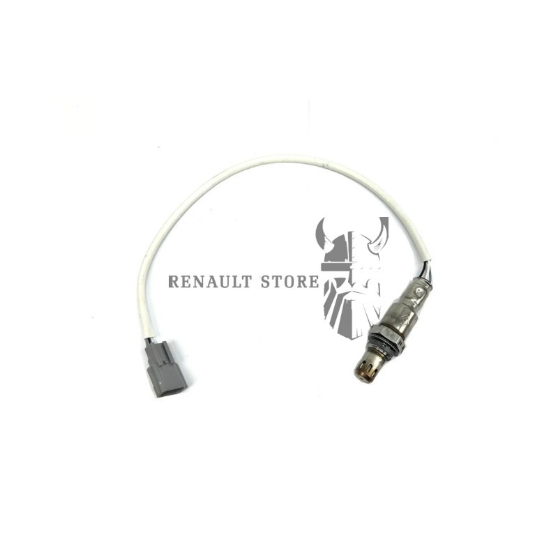 RENAULT OE OE item 12176622 - RENAULT OE
