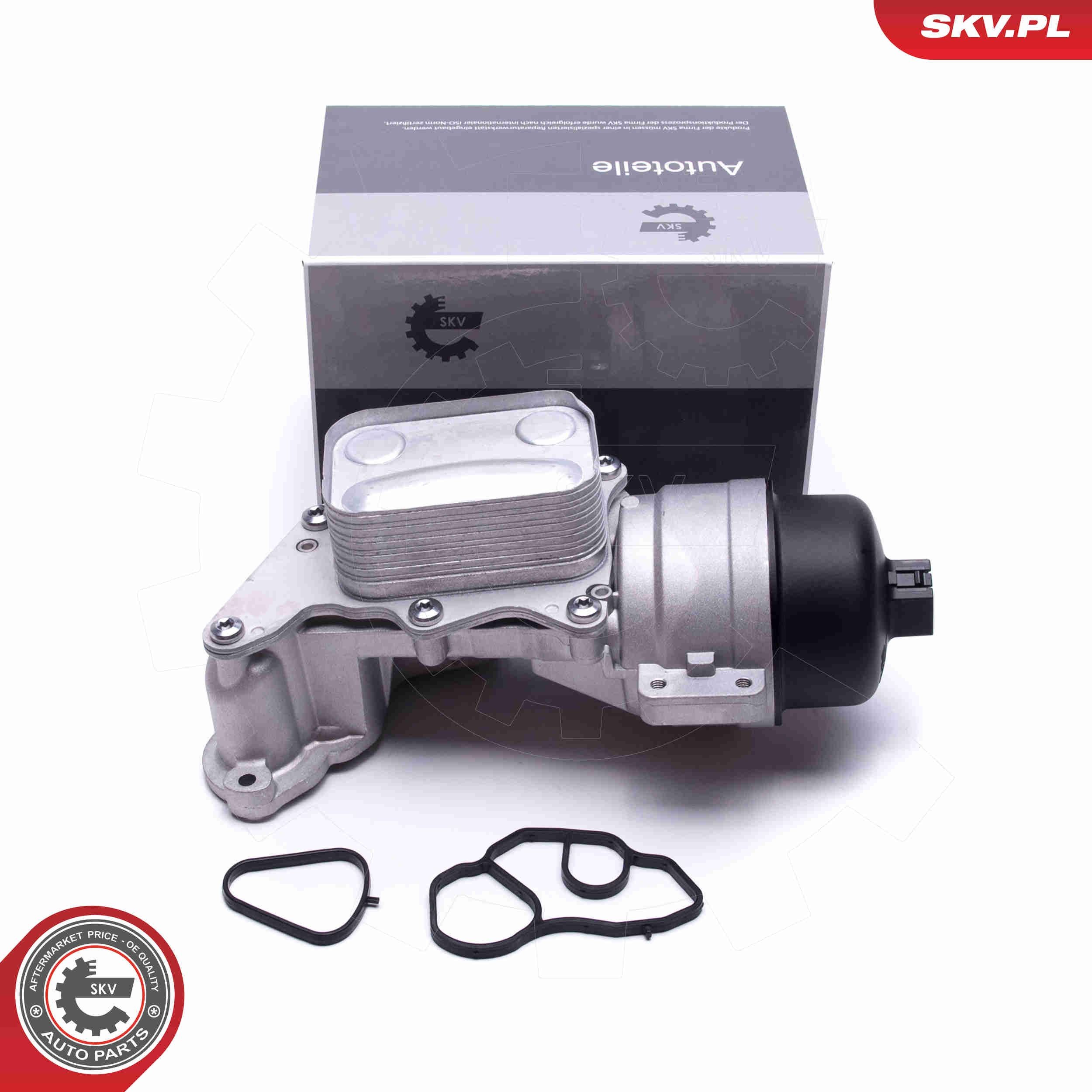 ESEN SKV Hazard Warning Light Switch 12115221 - ESEN SKV