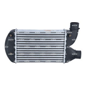NRF Thermostat, coolant 12170344 - NRF