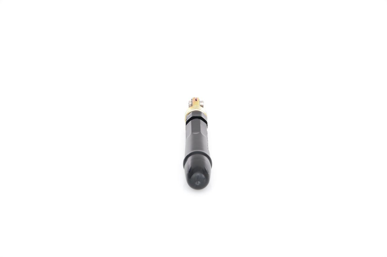 BOSCH Injector Nozzle 10928989 - BOSCH