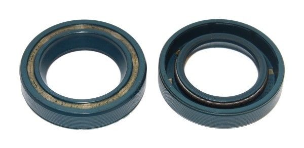 ELRING Gasket, cylinder head 11720403 - ELRING