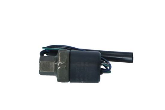 NRF Sensor, coolant temperature 12219862 - NRF