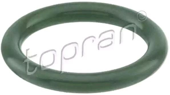 MTR Trim/Protective Strip, door 11545504 - MTR