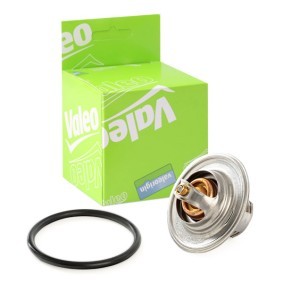 VALEO Gasket, coolant pipe 10138751 - VALEO