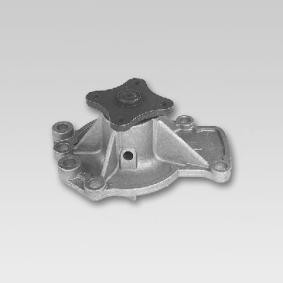 HEPU Water Pump 10641117 - HEPU