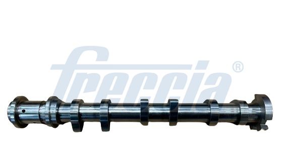 FRECCIA Piston Ring Kit 12885624 - FRECCIA