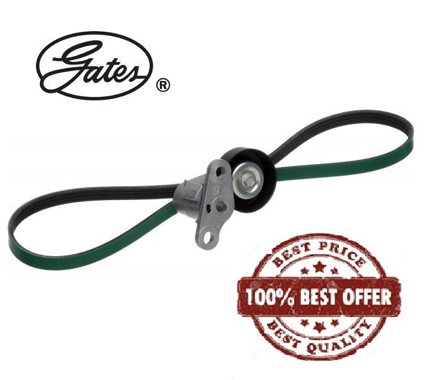 GATES V-Ribbed Belt 12460765 - GATES