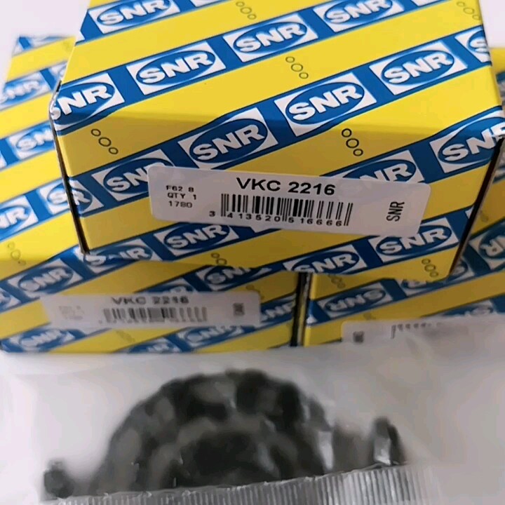 SNR Repair Kit, suspension strut 11621786 - SNR